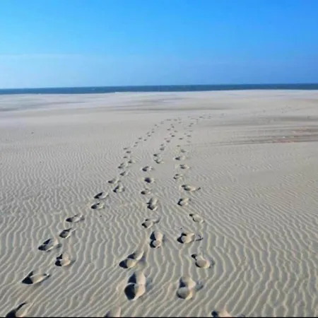 In Near The Beach, Cleaning Included Apartamento Nieuwpoort