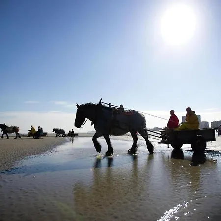 In Near The Beach, Cleaning Included Nieuwpoort