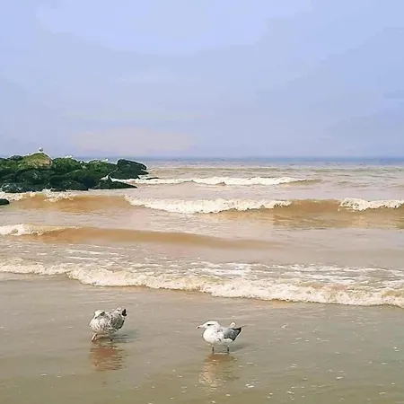 Apartamento In Near The Beach, Cleaning Included *